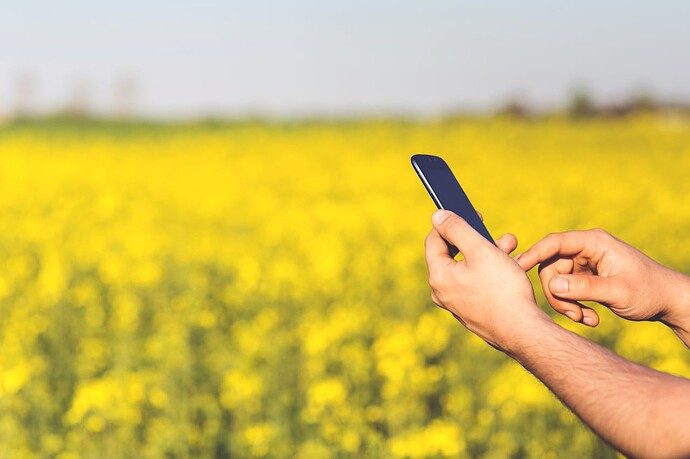 Smartphone in the hands of a man on a background of yellow flowers"
