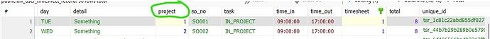 tsheet-record-db